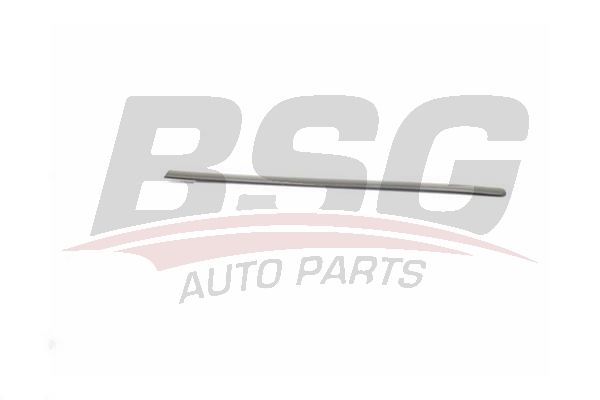 BSG 90924044 Kapı Bandı Arka Sağ