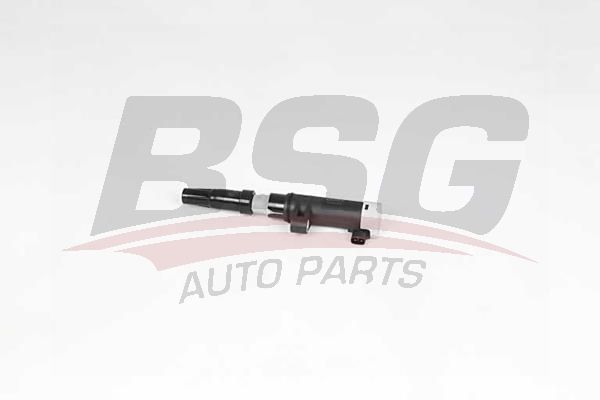 BSG 75835001 Ateşleme Bobini