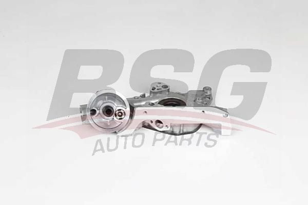 BSG 65101002 Yağ Pompası