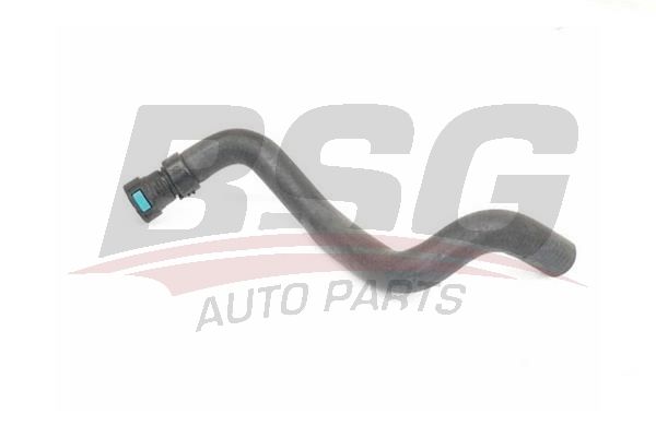 BSG 30720230 Kalorifer Hortumu Çıkış