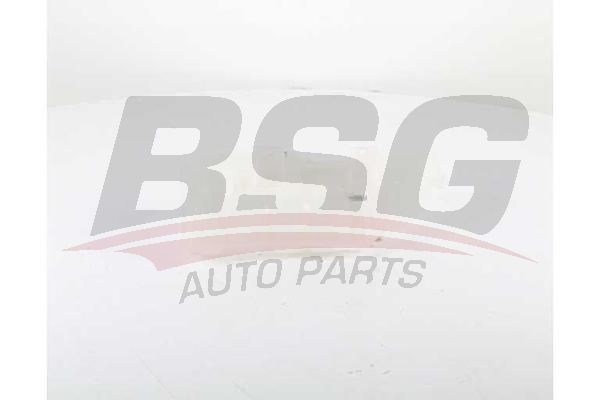 BSG 60550005 Radyatör Yedek Su Deposu