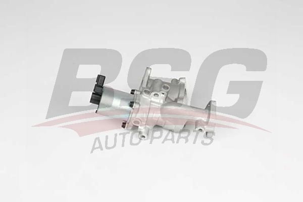 BSG 65836012 Egr Valfi - . Görsel