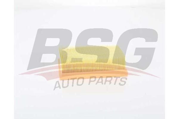 BSG 75135022 Hava Filtresi