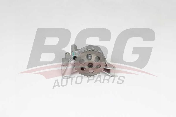 BSG 90101001 Yağ Pompası