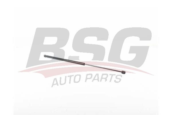 BSG 90980066 Kaput Amortisörü - . Görsel
