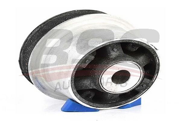 BSG 65700082 Dingil Burcu Arka