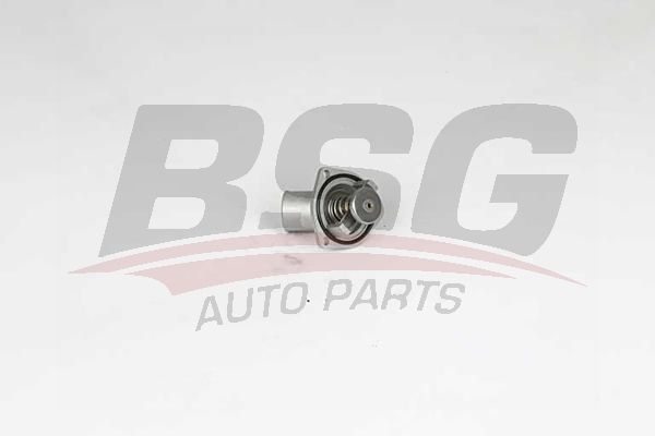 BSG 65126004 Termostat - . Görsel