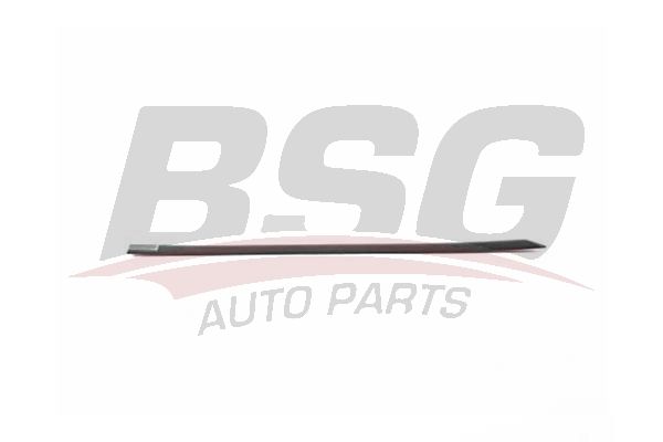 BSG 90924052 Kapı Bandı Arka Sağ - . Görsel