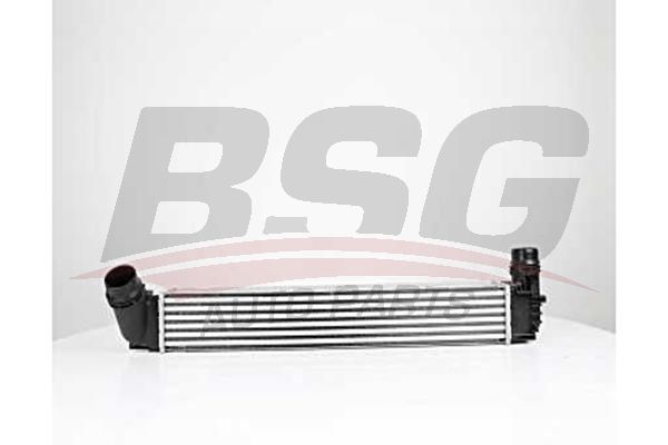 BSG 75535004 Turbo Radyatörü