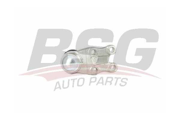 BSG 40310107 Rotil Alt