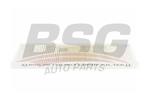 BSG 65145003 Polen Filtresi