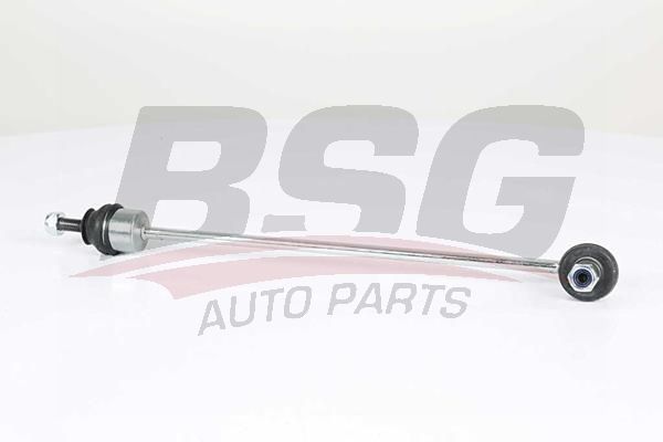 BSG 75310080 Viraj Askı Rotu Ön
