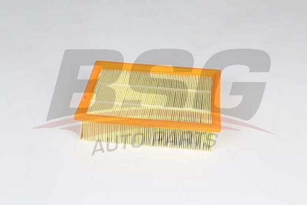 BSG 65135028 Hava Filtresi