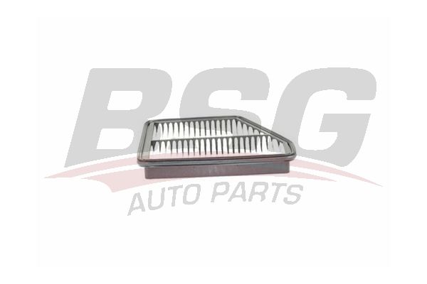 BSG 40135021 Hava Filtresi