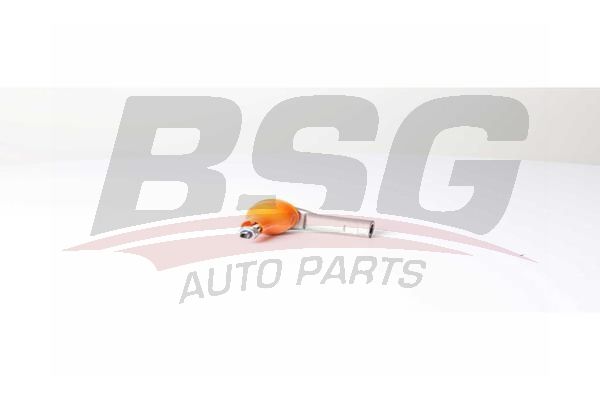 BSG 25310009 Rot Başı Ön