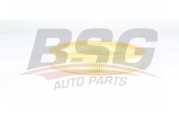 BSG 75135011 Hava Filtresi