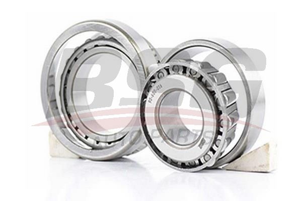 BSG 90600016 Teker Rulmanı Arka