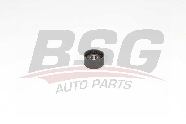 BSG 75615006 V Kayış Gergi Rulmanı