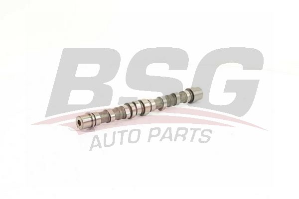 BSG 25108001 Eksantrik Mili