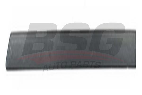 BSG 65925005 Kapı Bandı Arka Sol