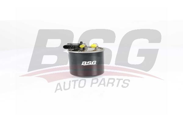 BSG 60130020 Yakıt Filtresi