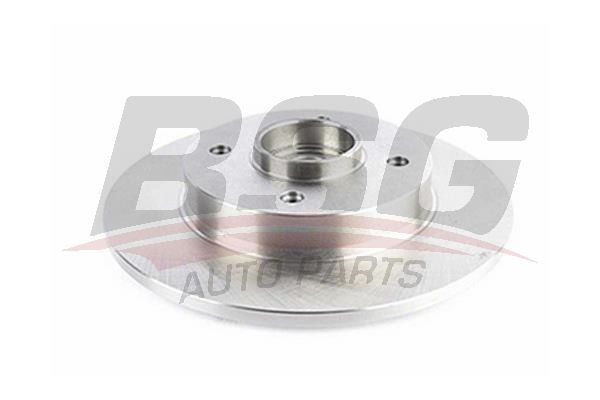 BSG 70210010 Fren Diski Arka