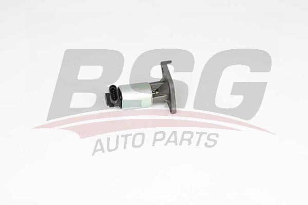BSG 65836018 Egr Valfi