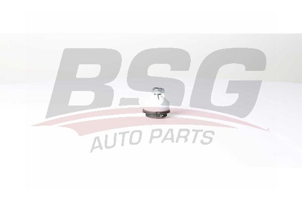 BSG 70310072 Rotil Alt