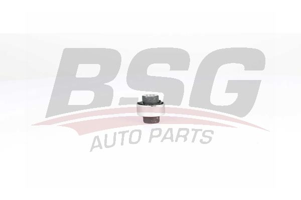 BSG 90700203 Salıncak Kol Burcu Arka