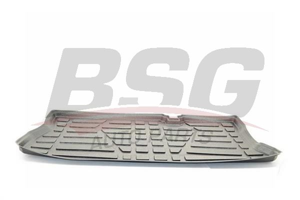 BSG 65935001 Bagaj Havuzu