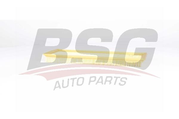 BSG 70135013 Hava Filtresi