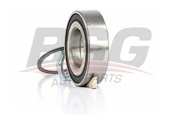 BSG 70605002 Porya Rulmanı Ön