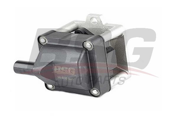 BSG 90835003 Ateşleme Bobini - . Görsel