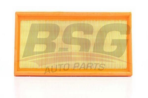 BSG 90135005 Hava Filtresi