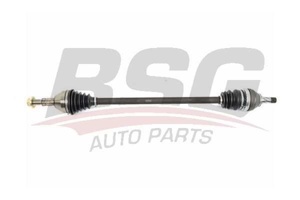 BSG 65350015 Aks Komple Ön Sağ - . Görsel