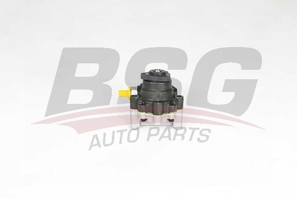 BSG 15355025 Direksiyon Pompası - . Görsel
