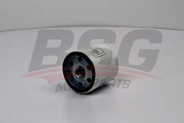 BSG 30140009 Yağ Filtresi - . Görsel