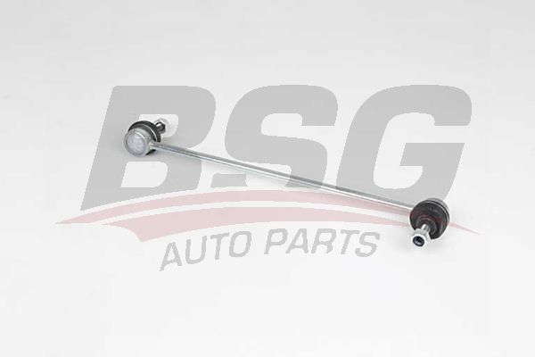 BSG 75310077 Viraj Askı Rotu Ön