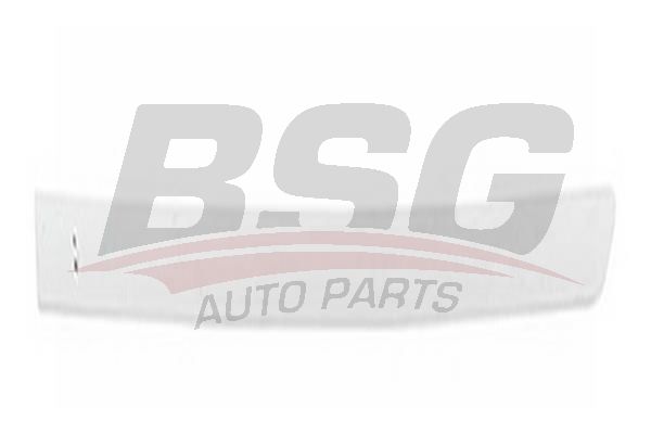 BSG 65925027 Kapı Bandı Arka Sol
