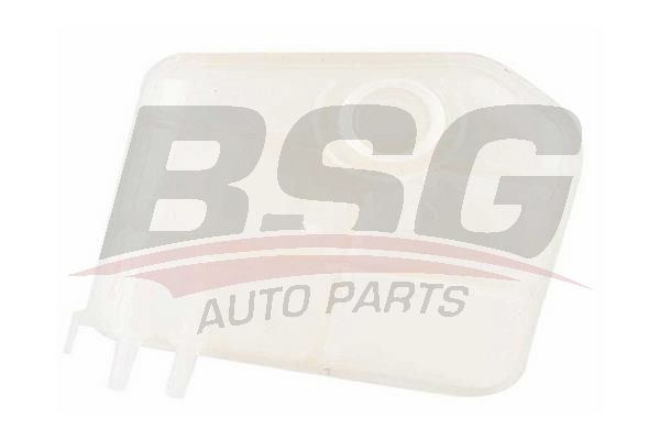 BSG 30550020 Radyatör Yedek Su Deposu - . Görsel