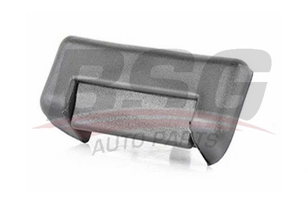 BSG 30970009 Dış Kapı Kolu