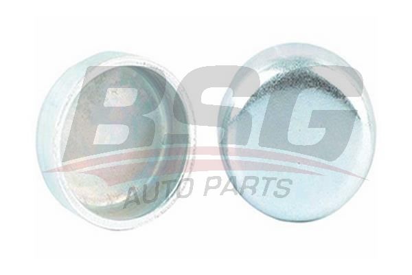 BSG 40122012 Blok Su Tapası