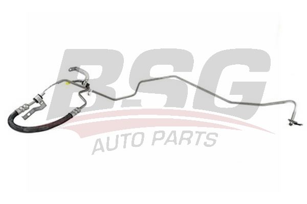 BSG 30725033 Direksiyon Hortumu