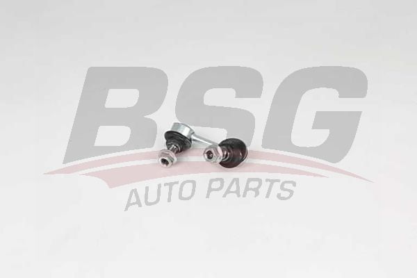 BSG 25310048 Viraj Askı Rotu Arka