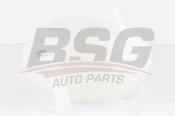BSG 90550009 Radyatör Yedek Su Deposu
