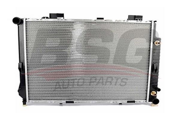 BSG 60520018 Su Radyatörü