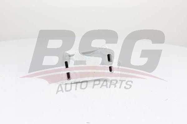 BSG 15506013 Yağ Radyatörü - . Görsel