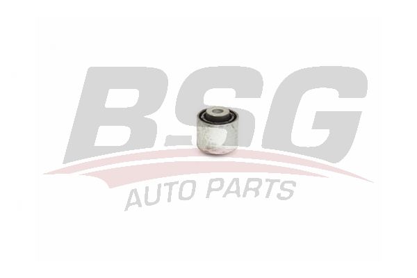BSG 90700205 Dingil Burcu Arka