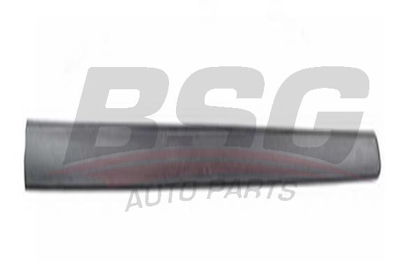 BSG 70924014 Kapı Bandı Ön Sol