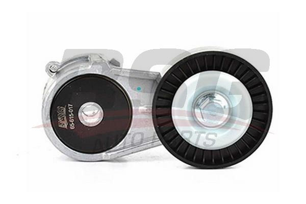 BSG 65615017 V Kayış Gergi Rulmanı